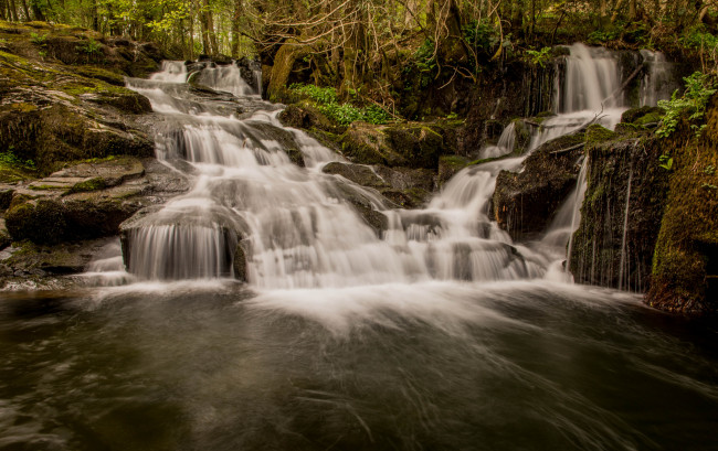 Обои картинки фото природа, водопады, водопад, река, лес