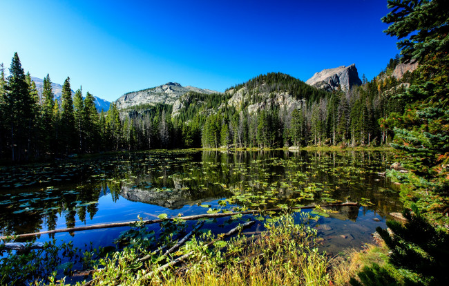 Обои картинки фото природа, реки, озера, река, лес, горы