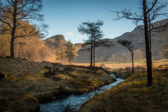 Картинка природа реки озера река лес