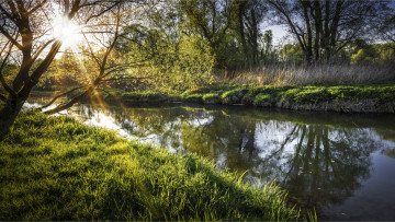 Картинка природа реки озера река лес