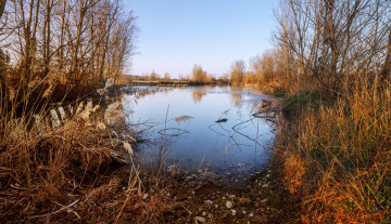 Картинка природа реки озера река лес