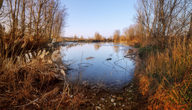 Обои картинки фото природа, реки, озера, река, лес