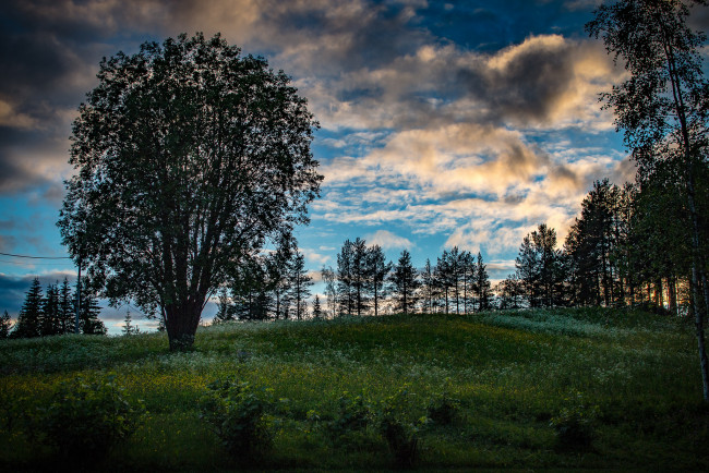 Обои картинки фото природа, пейзажи, простор