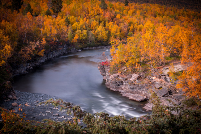 Обои картинки фото природа, реки, озера, река, лес