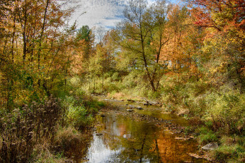 Картинка природа реки озера простор