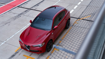 обоя alfa romeo stelvio quadrifoglio 2018, автомобили, alfa romeo, alfa, romeo, stelvio, quadrifoglio, 2018, red