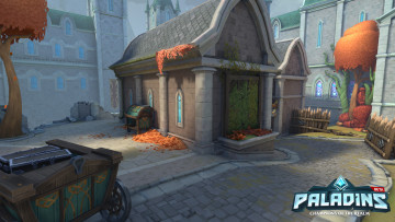 Картинка видео+игры paladins