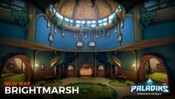 Картинка видео+игры paladins