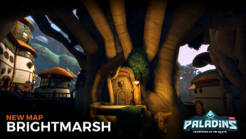 Картинка видео+игры paladins