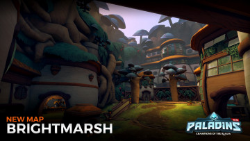 Картинка видео+игры paladins