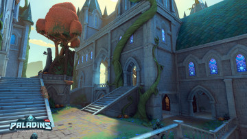 Картинка видео+игры paladins