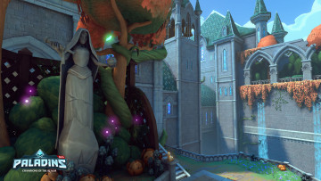 Картинка видео+игры paladins