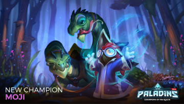 Картинка видео+игры paladins