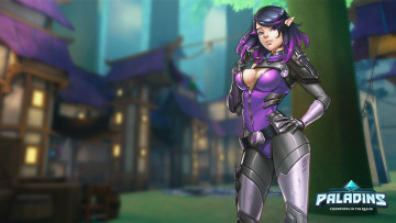 Картинка видео+игры paladins