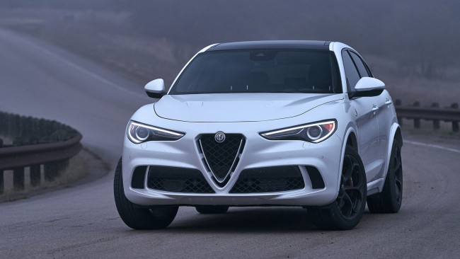 Обои картинки фото alfa romeo stelvio quadrifoglio 2018, автомобили, alfa romeo, alfa, romeo, stelvio, quadrifoglio, 2018, белый