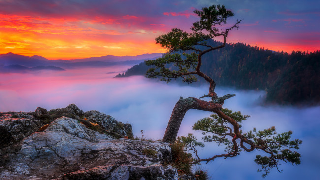 Обои картинки фото природа, горы, простор