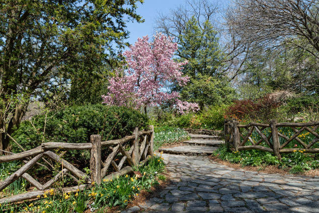 Обои картинки фото природа, дороги, простор