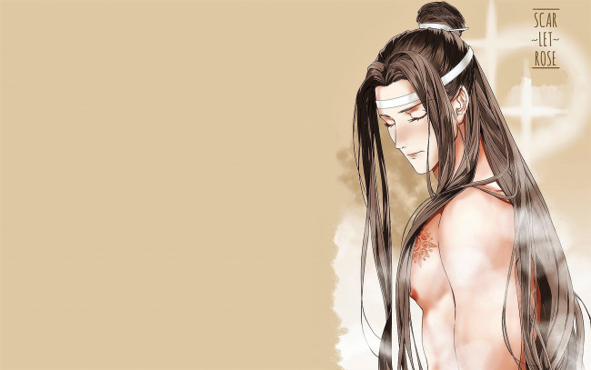 Обои картинки фото аниме, mo dao zu shi, лань, ванцзи