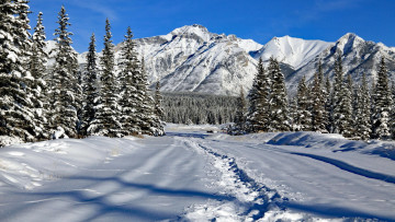 Картинка mount+astley banff+np alberta природа зима mount astley banff np