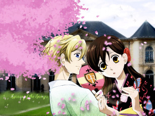 Картинка аниме ouran high school host club