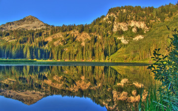 Картинка природа реки озера