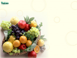 Картинка tropicana бренды