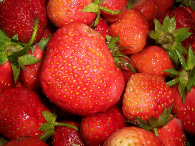 Обои картинки фото еда, клубника, земляника