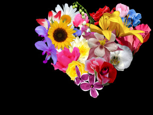 Картинка цветы разные вместе сердечко