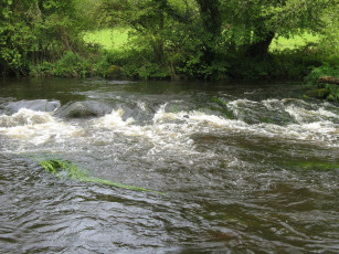 Картинка природа реки озера вода камни деревья