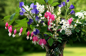 Картинка цветы букеты композиции душистый горошек дицентра ландыши