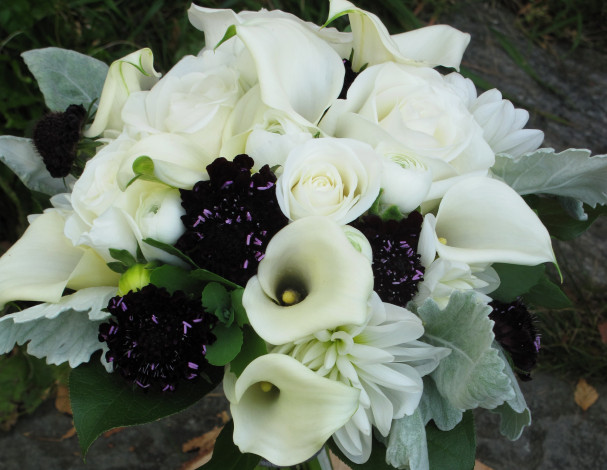 Обои картинки фото цветы, букеты, композиции, букет