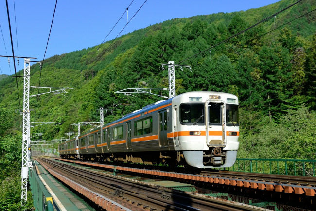 Обои картинки фото техника, электрички, лес, электричка, рельсы