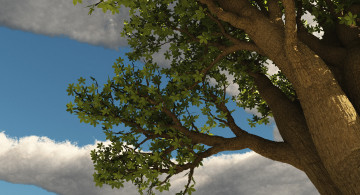 Картинка 3д графика nature landscape природа дерево