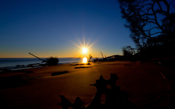 Картинка природа восходы закаты солнце коряги лучи