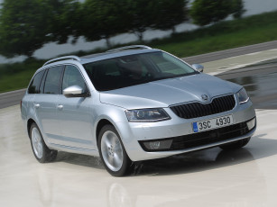 Картинка автомобили skoda octavia combi 4x4 5e светлый