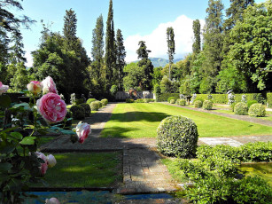 Картинка природа парк розы кусты деревья лужайка