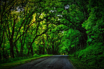 Картинка природа дороги тракт