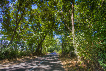 Картинка природа дороги тракт