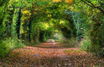 Картинка природа дороги тракт