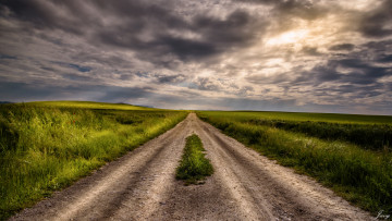 Картинка природа дороги тракт