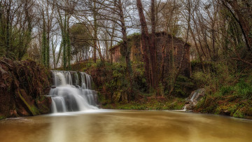 Картинка природа водопады водопад река лес