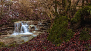 Картинка природа водопады водопад река лес