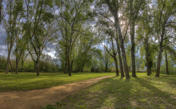 Картинка природа дороги тракт