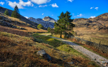 Картинка природа дороги тракт