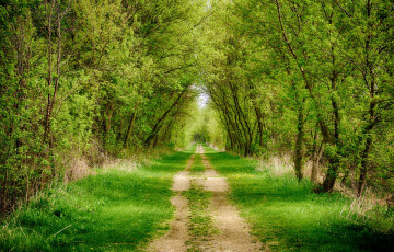 Картинка природа дороги тракт