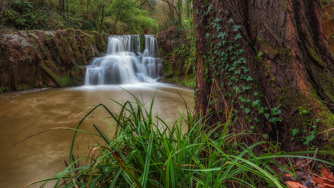 Обои картинки фото природа, водопады, водопад, река, лес