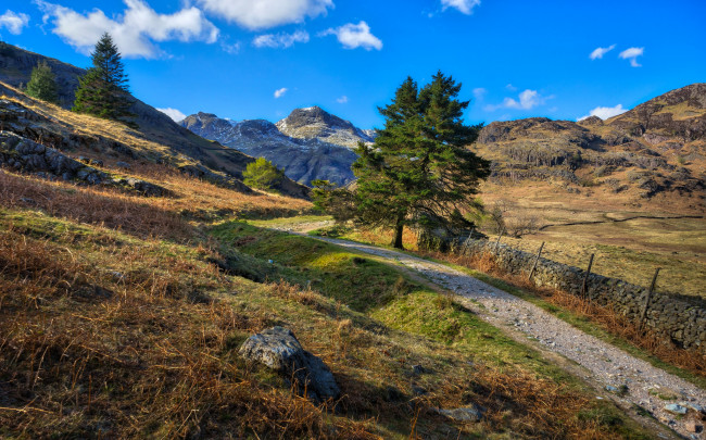 Обои картинки фото природа, дороги, тракт