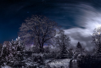 Картинка природа зима простор