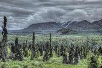 Картинка природа пейзажи простор