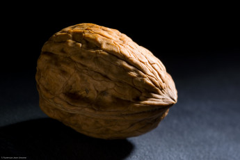 Картинка еда орехи +каштаны +какао-бобы орех